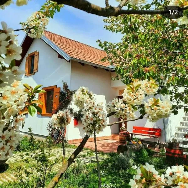 KUĆA ZA ODMOR "DVA SRCA"，位于Čeminac的酒店