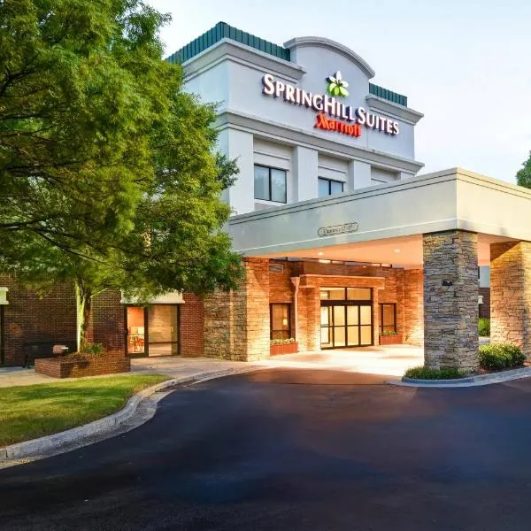 SpringHill Suites by Marriott Atlanta Kennesaw，位于伍德斯托克的酒店