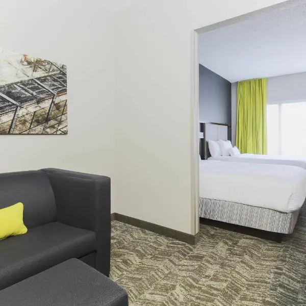 SpringHill Suites by Marriott Austin Parmer/Tech Ridge，位于Wells Branch的酒店