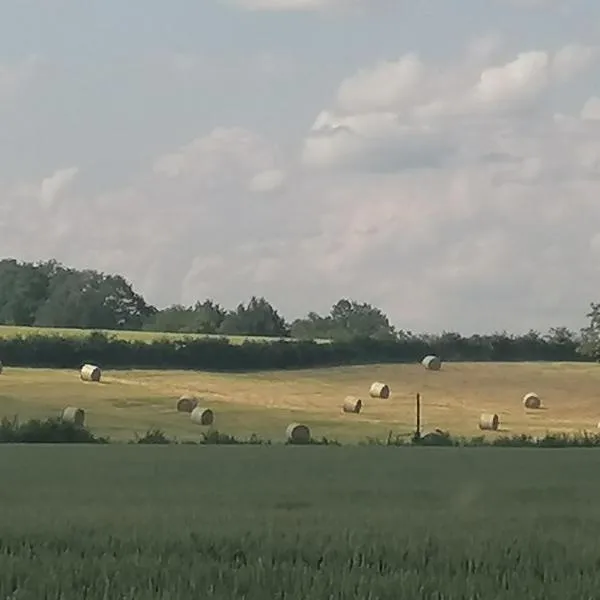 La casa en el campo A 20 minutes de Zoo Beauval & 8 minutes de la flamme olympique à Valençay，位于Baudres的酒店