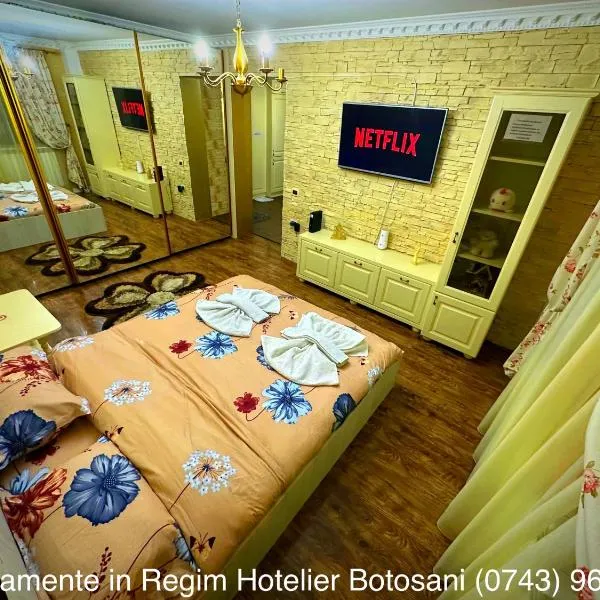 Apartament De Lux zona 0 Botosani 2 camere，位于Şoldăneşti的酒店