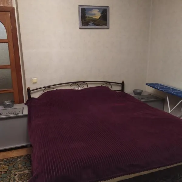 Двухкомнатные Апартаменты 'Проспект Центральный,30' и 'Гетьманська,74'，位于Kudashevka的酒店
