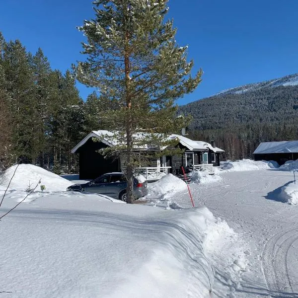 Nymon Mountain Lodge，位于斯托滕的酒店