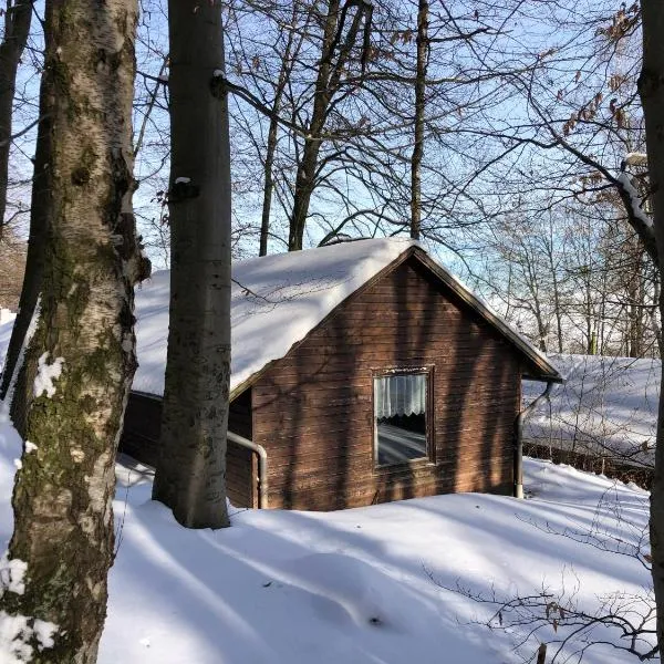 Schwedische Winter Hütte unter Buchen，位于Seeburg的酒店