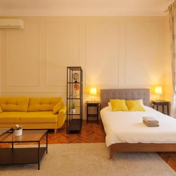 Spacious Flat in Old Town Wi-Fi，位于蒂米什瓦拉的酒店