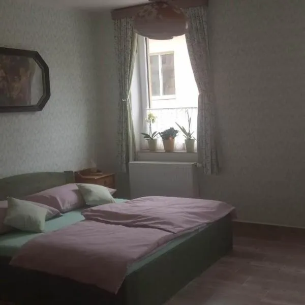 Restaurace a penzion Ubrousku prostři se，位于新比斯特日采的酒店
