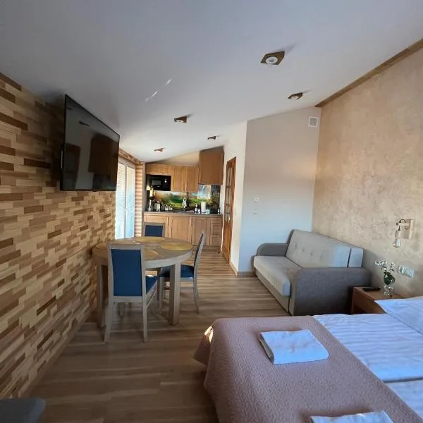 Apartament Vanessa 2 u podnóża gór, nad jeziorem Czorsztyńskim，位于Harklowa的酒店