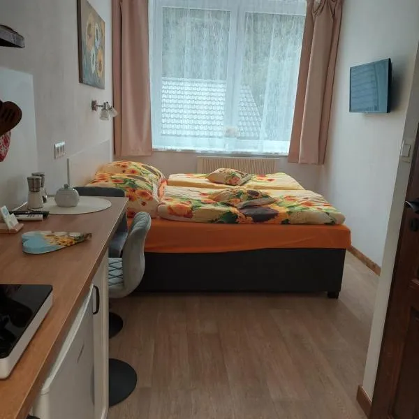 Apartmán U dvou slunečnic，位于Dolní Příbraní的酒店