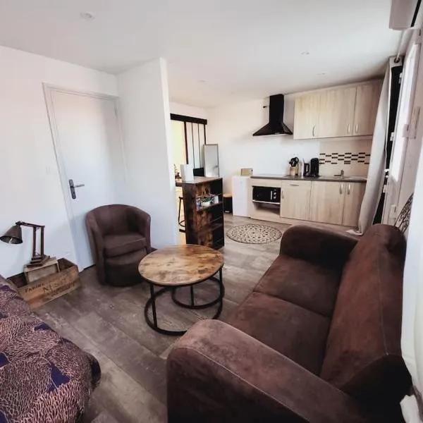 Studio tout confort，位于Blaye-les-Mines的酒店