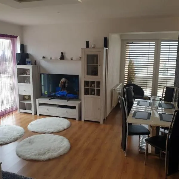 Mezonetovy Apartmán v centre Novej Dubnice，位于Omšenie的酒店