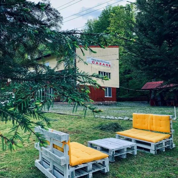 Pensiunea Păstrăvul，位于克尔茨什瓦拉乡的酒店