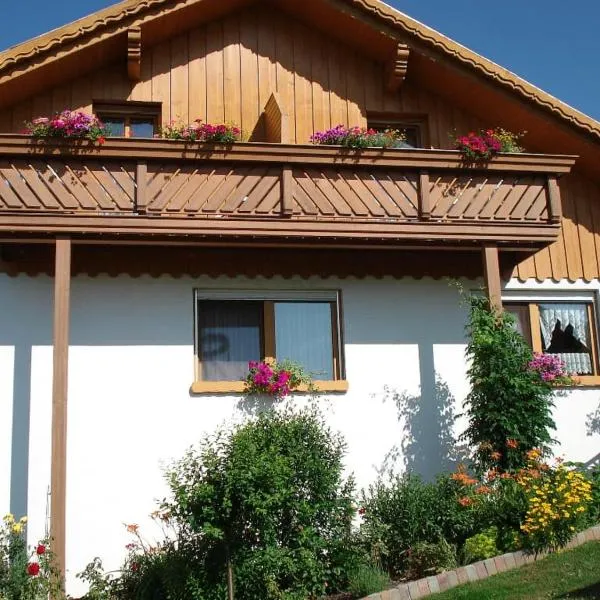 Ferienwohnungen Schellein，位于Blaibach的酒店