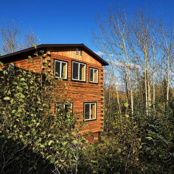 Denali Park View Family Log Cabin，位于希利的酒店