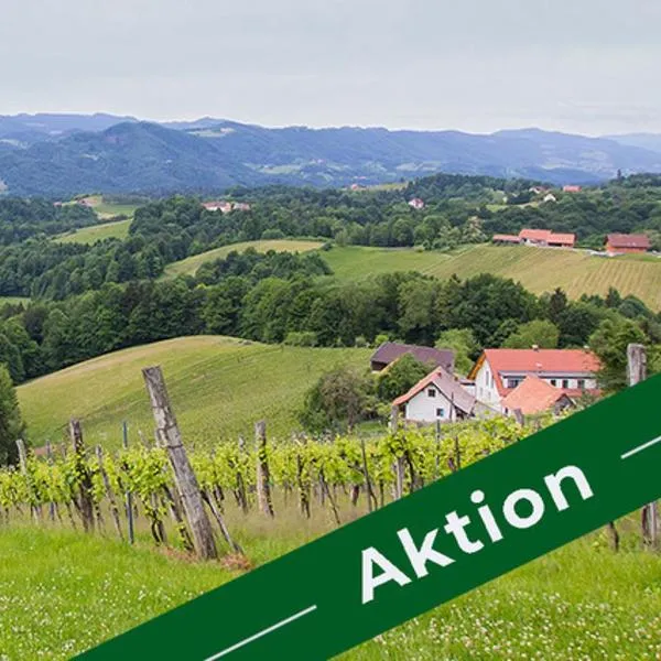 Weingut - Gästezimmer Resch Ludwig vlg. Powoden，位于洛伊查赫的酒店
