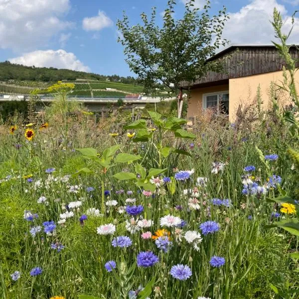 Ferienhaus Gutedel，位于弗赖堡的酒店