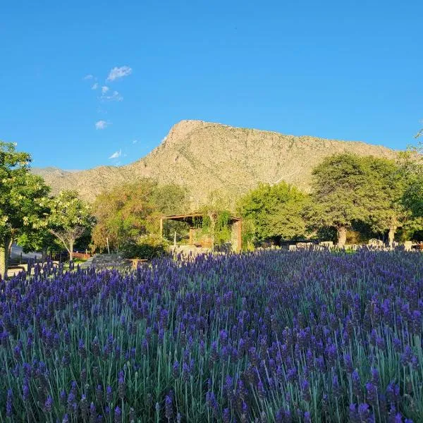 CASAS Viñedos de Cafayate Alquiler Temporario，位于卡法亚特的酒店