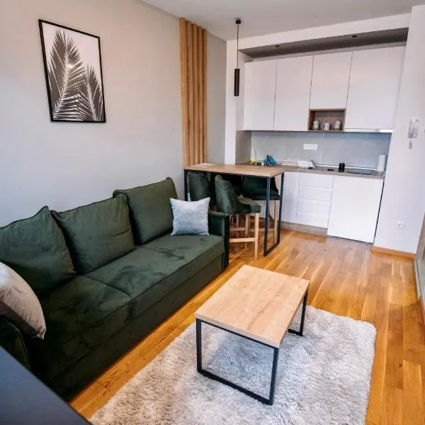 EVA apartman, Titova Vila, Zlatibor，位于Palisad的酒店