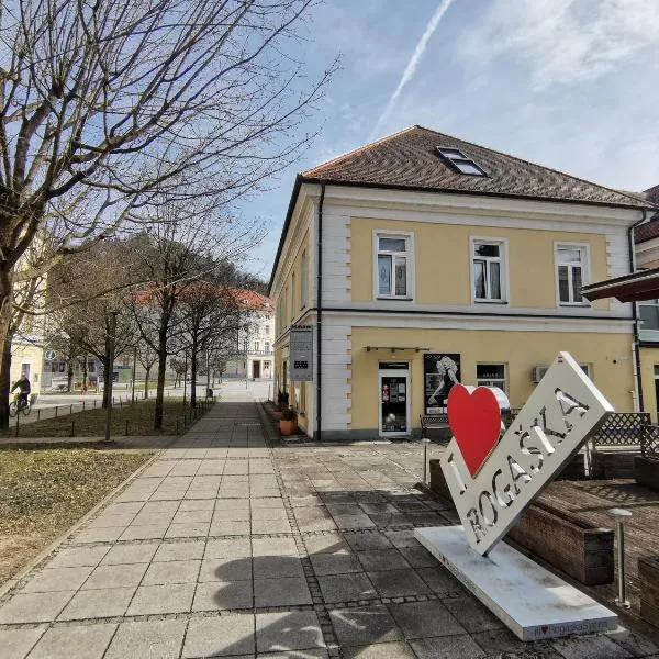 Apartment Center Rogaška - Pubyland，位于罗加斯卡斯拉提纳的酒店