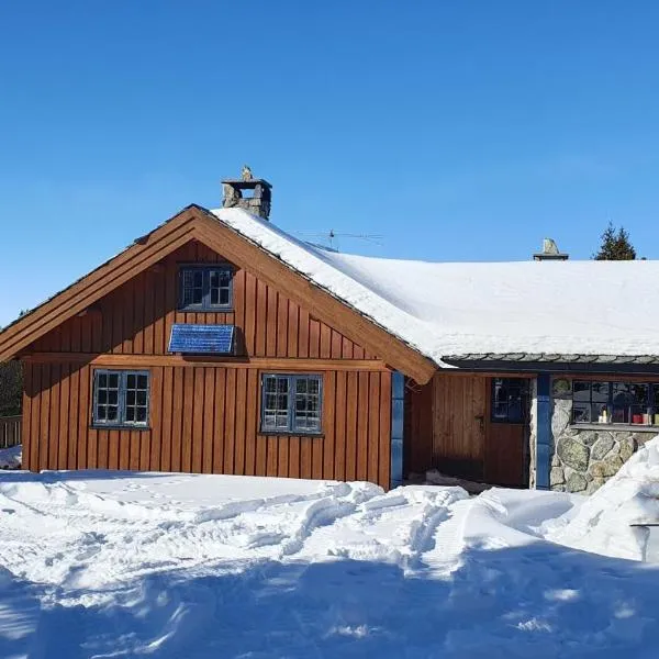 Cozy log cabin at beautiful Nystølsfjellet，位于Reinli的酒店