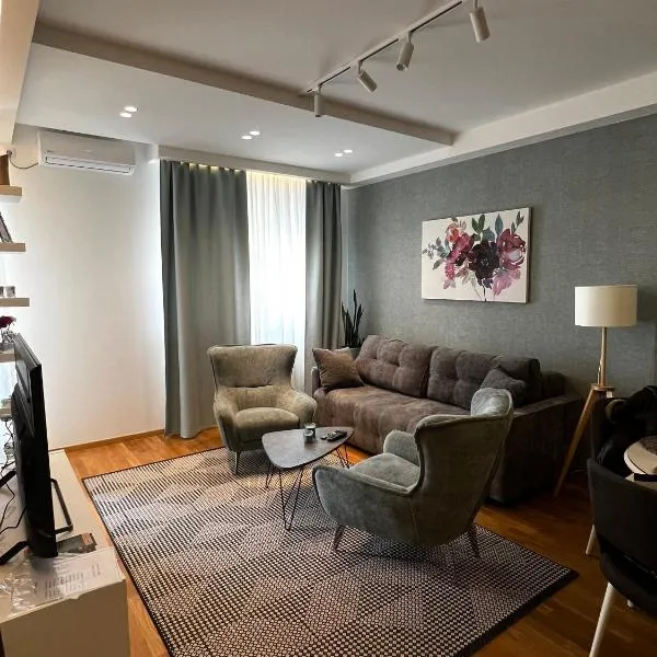 Real Apartment Banovci，位于Novi Banovci的酒店
