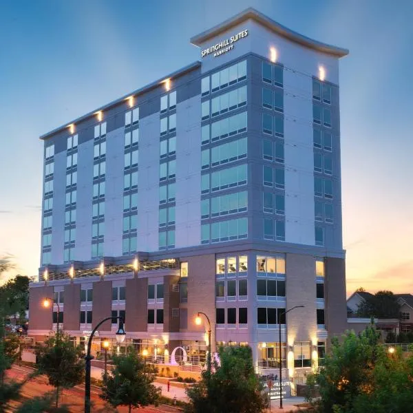 SpringHill Suites by Marriott Atlanta Downtown,位于亚特兰大的酒店