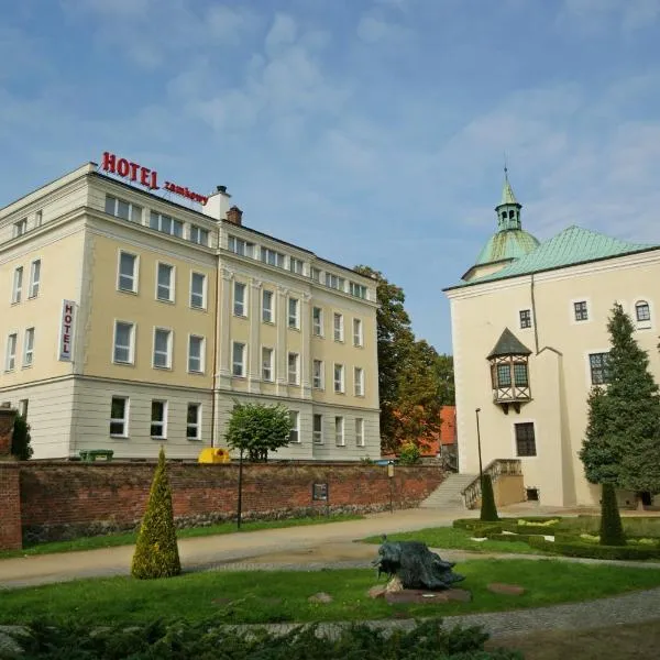 城堡酒店，位于Dębnica Kaszubska的酒店