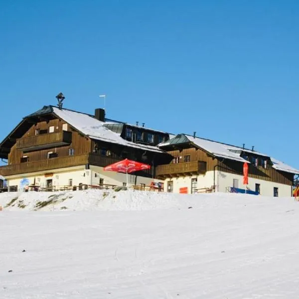 Almberghütte，位于Bischofsreut的酒店