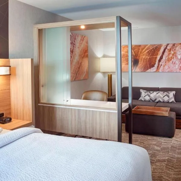 SpringHill Suites by Marriott Grand Rapids West，位于Hudsonville的酒店