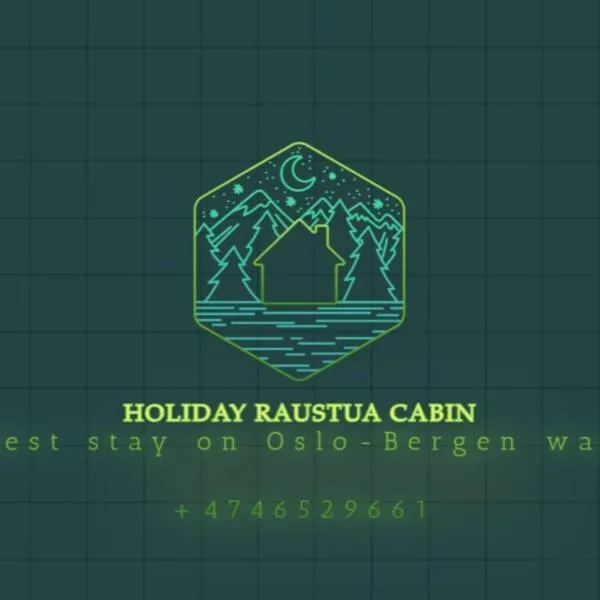 Holiday Raustua Cabin，位于Gol的酒店