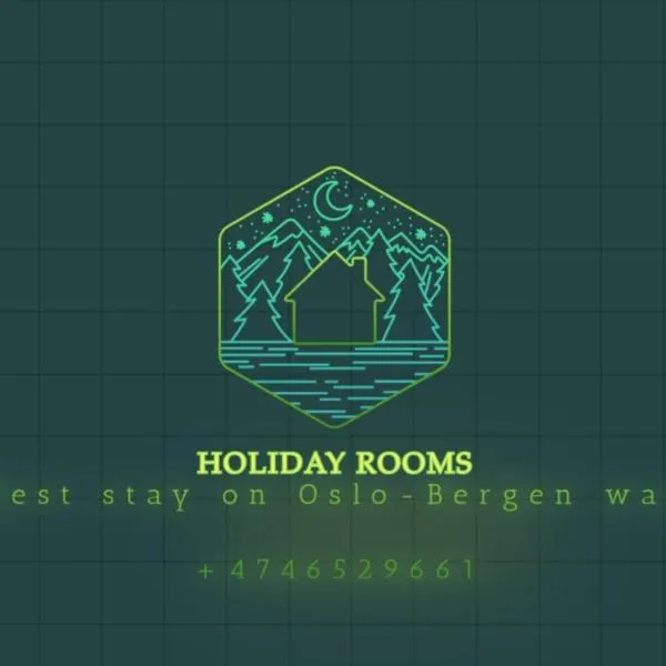 Holiday Rooms，位于Nystølen的酒店