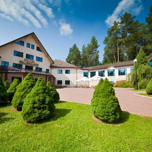 Hotel Perła Bieszczadów Geovita，位于Rabe的酒店