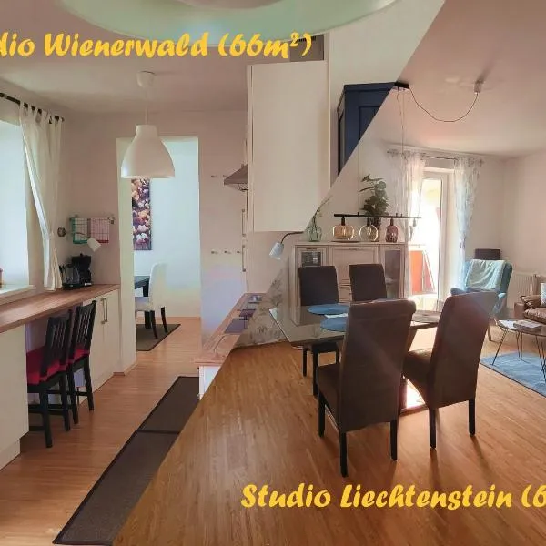 Studios Am Wienerwald，位于新特尔布鲁的酒店