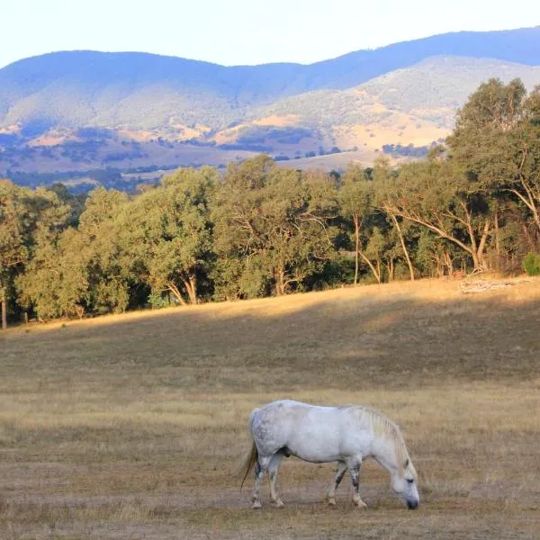 Yackandandah farm homestead，位于Yackandandah的酒店