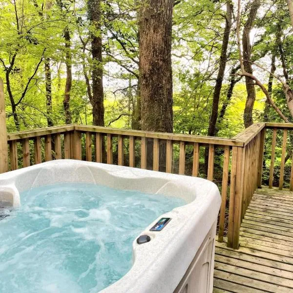 Tiny House-Hot Tub-St Clears-Pembrokeshire-Tenby，位于卡马森的酒店