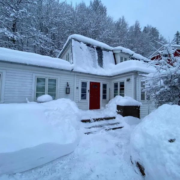 Villa Rjukan，位于Tuddal的酒店