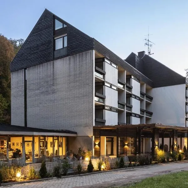 Hotel Luisenpark，位于Pleisweiler-Oberhofen的酒店