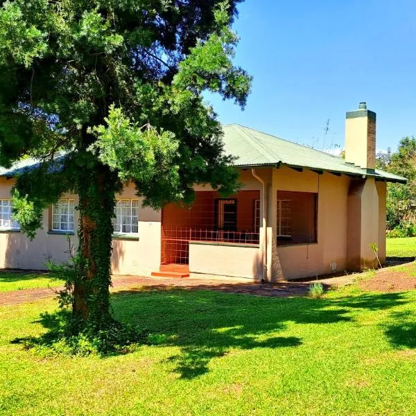 Pine Forest Cottage，位于萨比的酒店