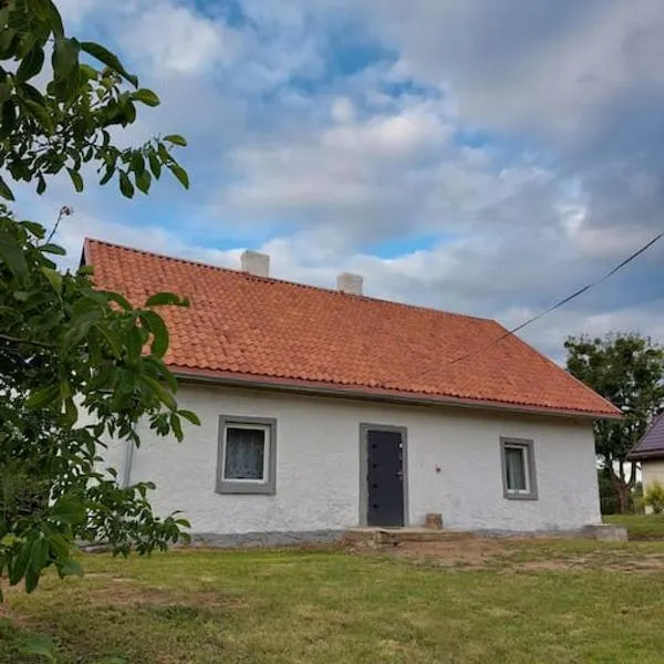 Dom Podróżnika -aktywne wakacje，位于Jabłonowo的酒店