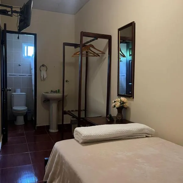 HOTEL Ecológico BLUEROCK，位于戴维的酒店