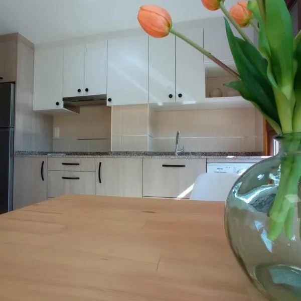 Apartamento Alfa，位于蒙福特·德·莱蒙斯的酒店