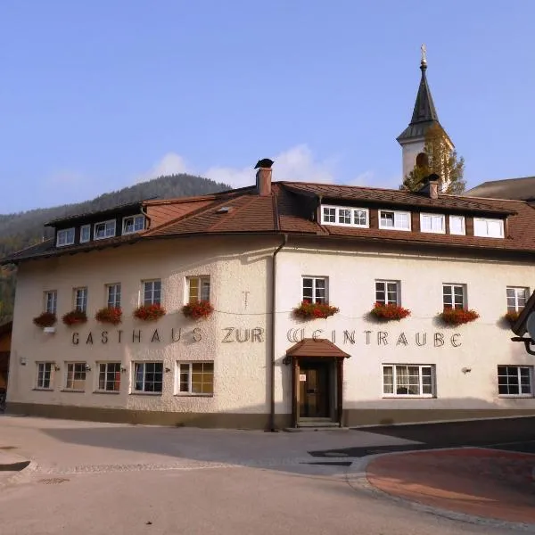 Apartment Weintraube，位于Hohenberg的酒店