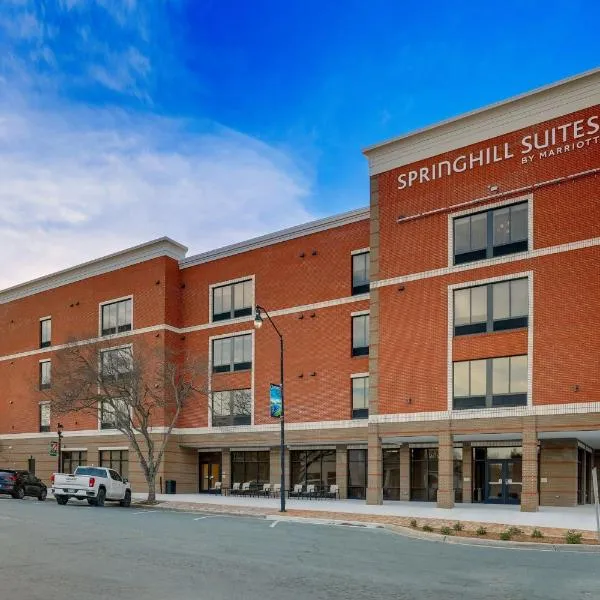 SpringHill Suites by Marriott Cheraw，位于Cheraw的酒店