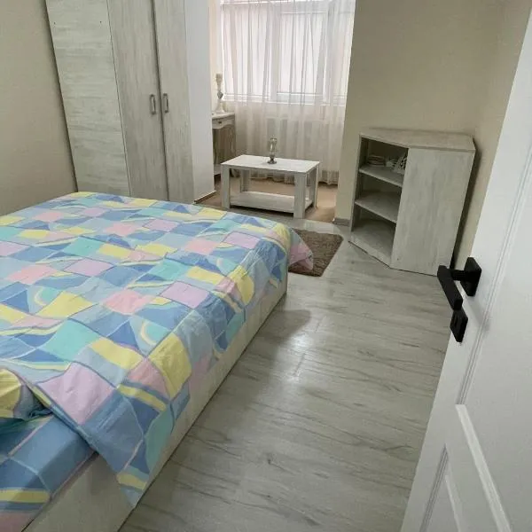 Apartament 2 camere ultracentral，位于Braniştea的酒店