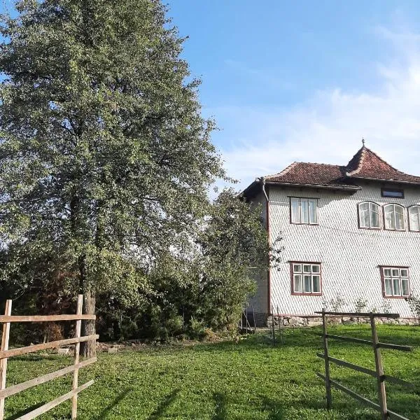 Rivr House Bucovina，位于Strîmtura的酒店