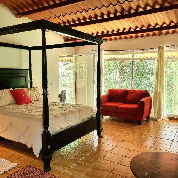 OLP Treehouse Cerro Azul，位于塞罗阿苏尔的酒店
