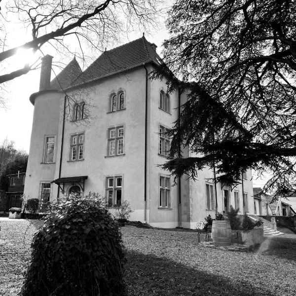 Bed and Breakfast Le Château de Morey，位于Delme的酒店