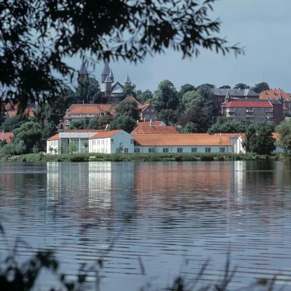 Golf Hotel Viborg，位于Sundstrup的酒店