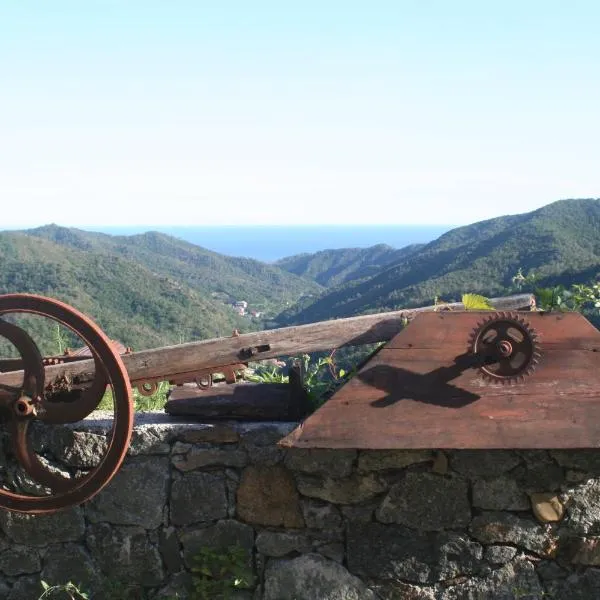 Agriturismo Rio Lunei，位于卡伊罗蒙泰诺泰的酒店