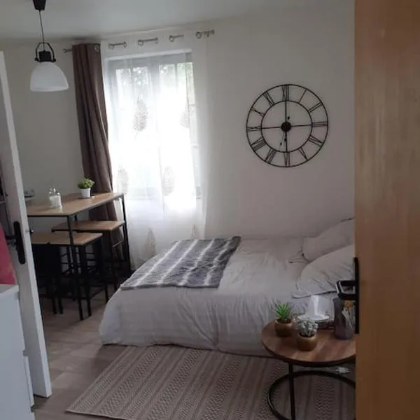 Superbe petit studio plein centre ville，位于菲雅克的酒店