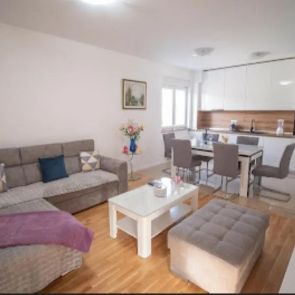 Apartman San，位于波素斯捷的酒店
